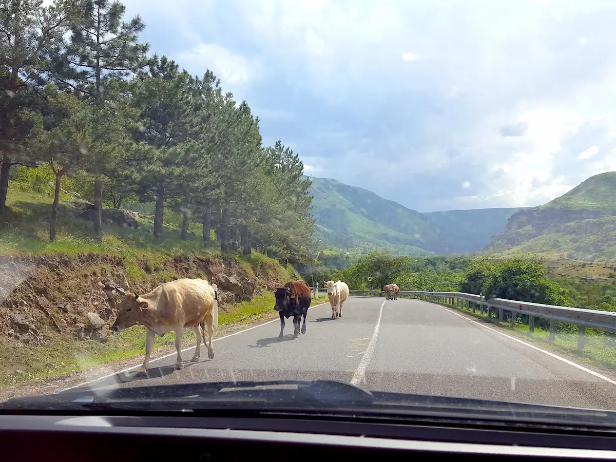 Auto mieten in Kutaisi Georgien Erfahrungen