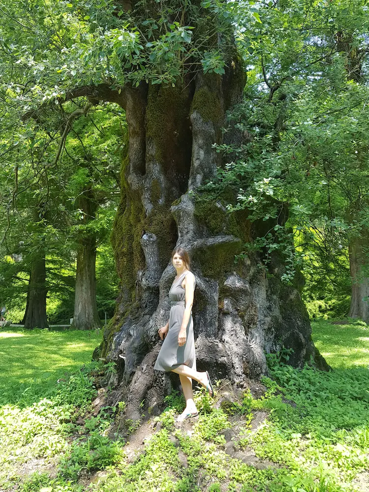 Dendropark Shekvetili