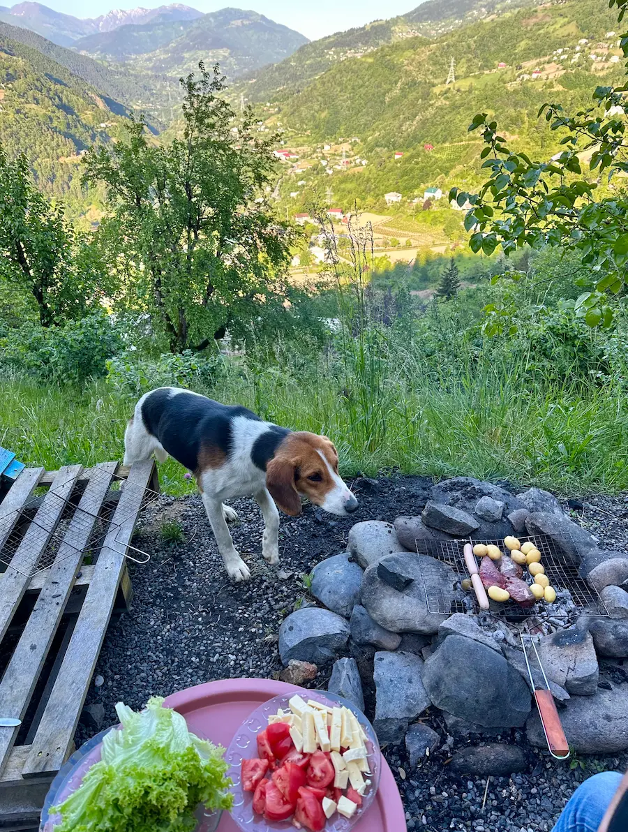 Essen in Georgien kosten