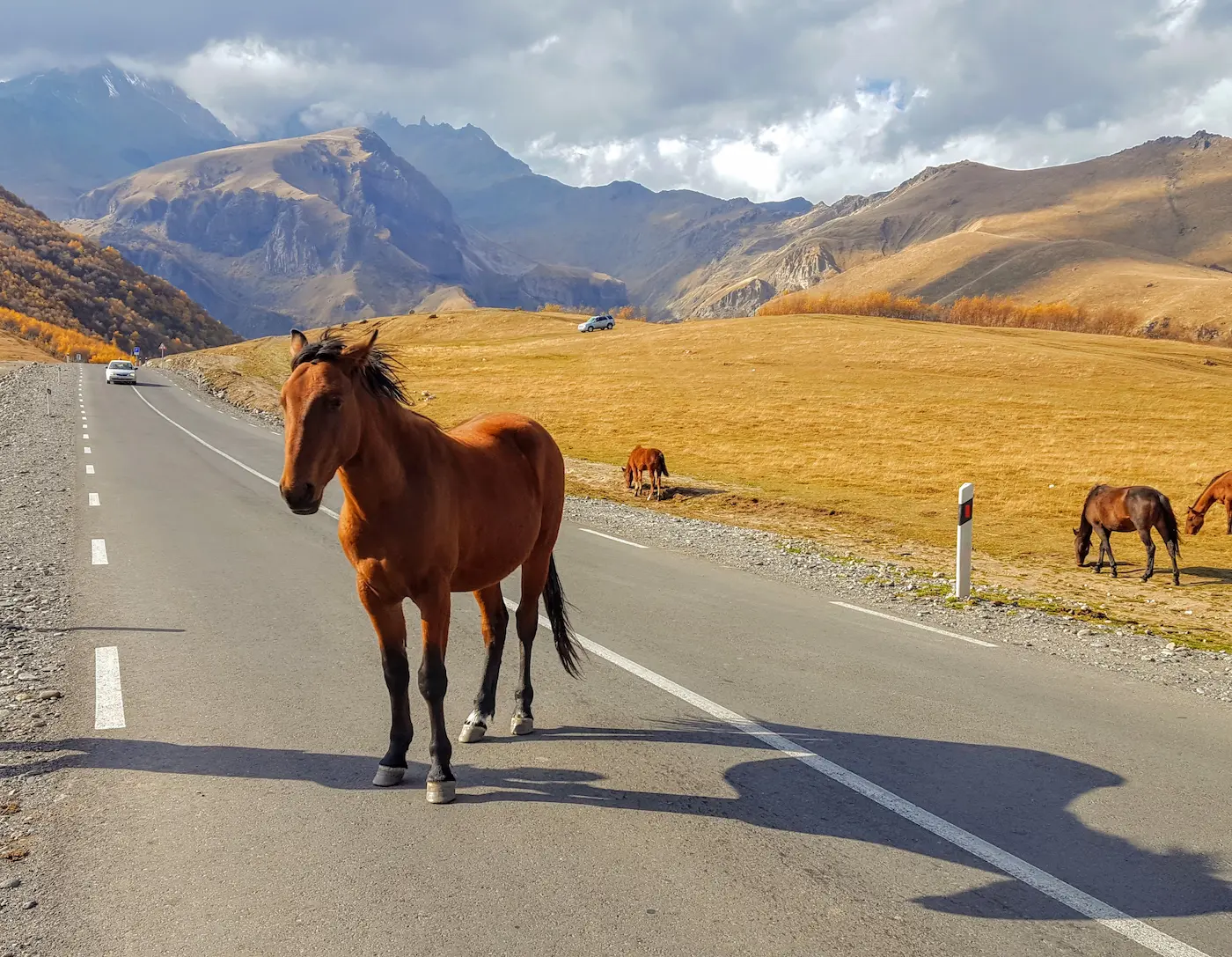 Georgien Herbst