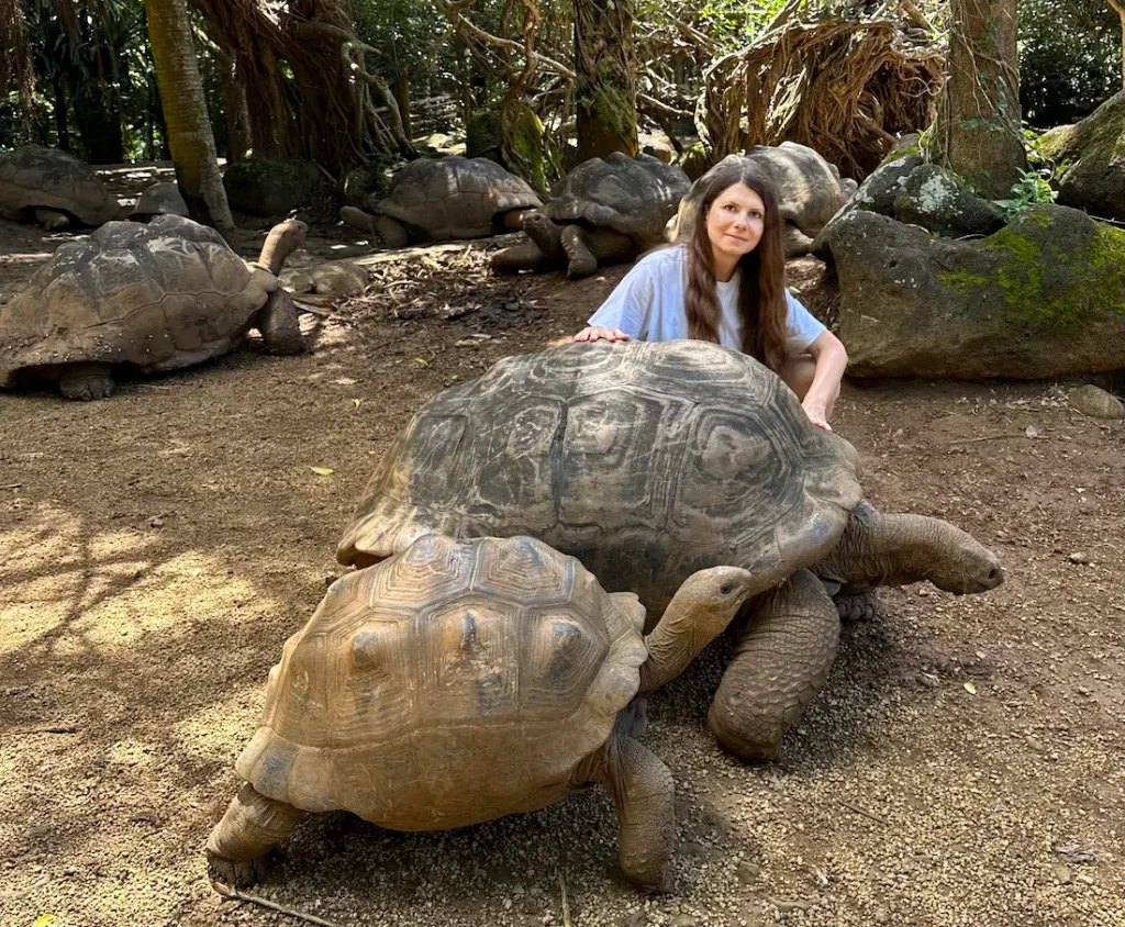 Riesenschildkröten im La Vanille Nature Park