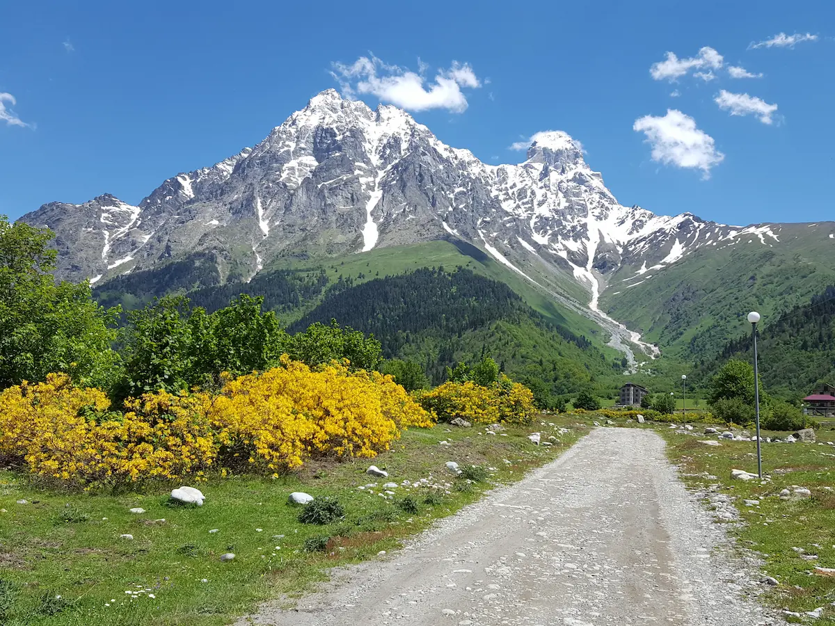 Ushba und alpine Wiesen in Mazeri Swanetien