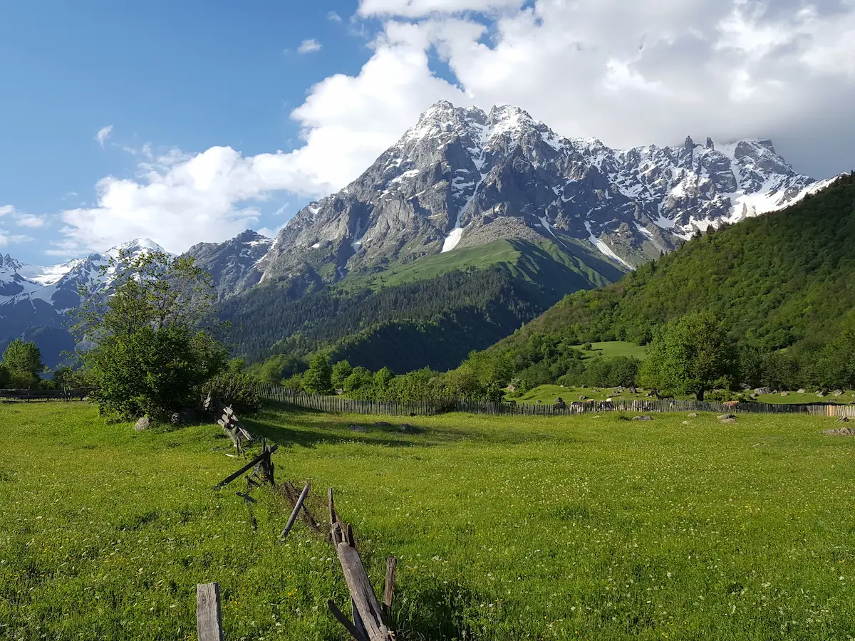 Wiesen in Mazeri