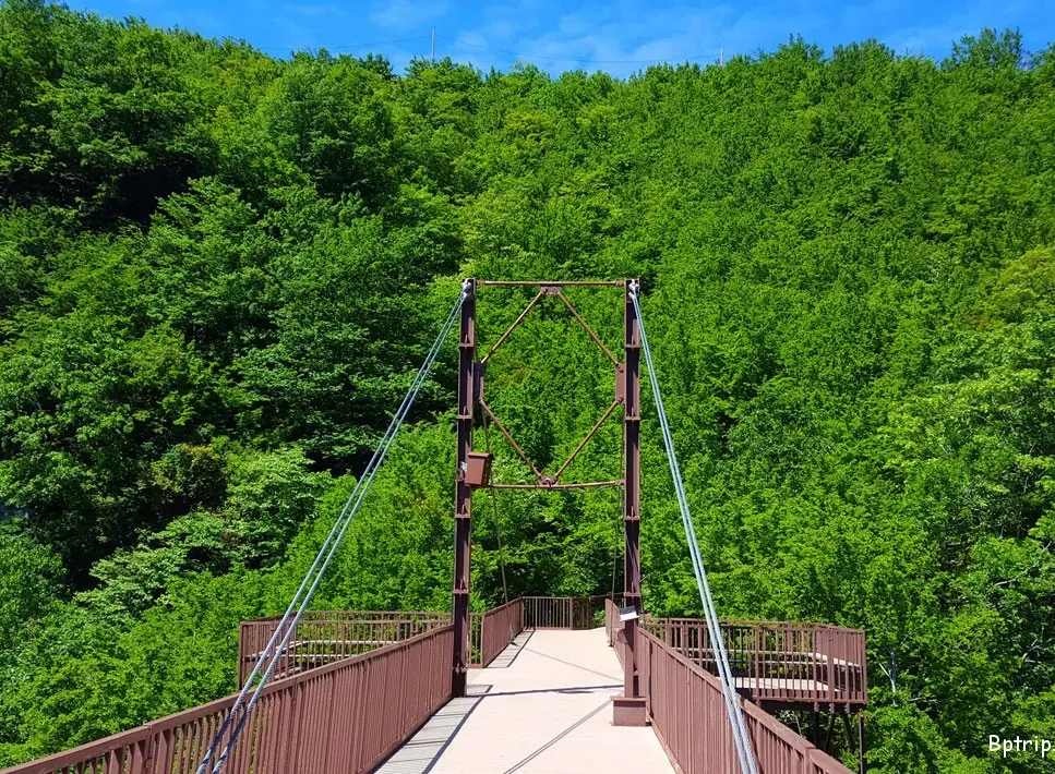 Okatse Canyon Georgien Aussicht Plattform Schlucht