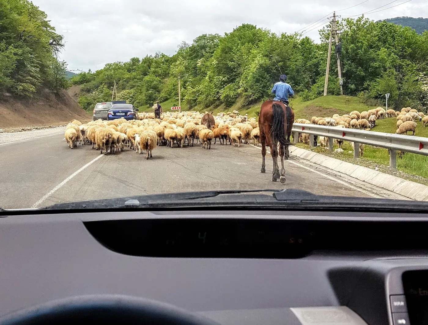 Schafherde auf einer Straße in Georgien