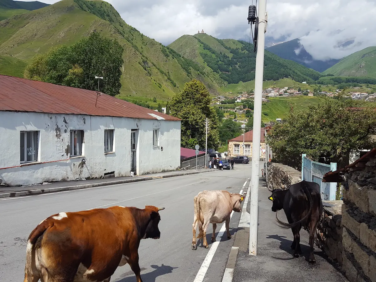 Zentrum von Stepanzminda in Kazbegi